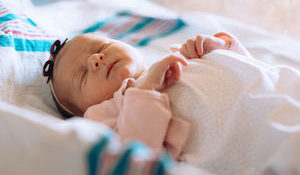 Web Nursery