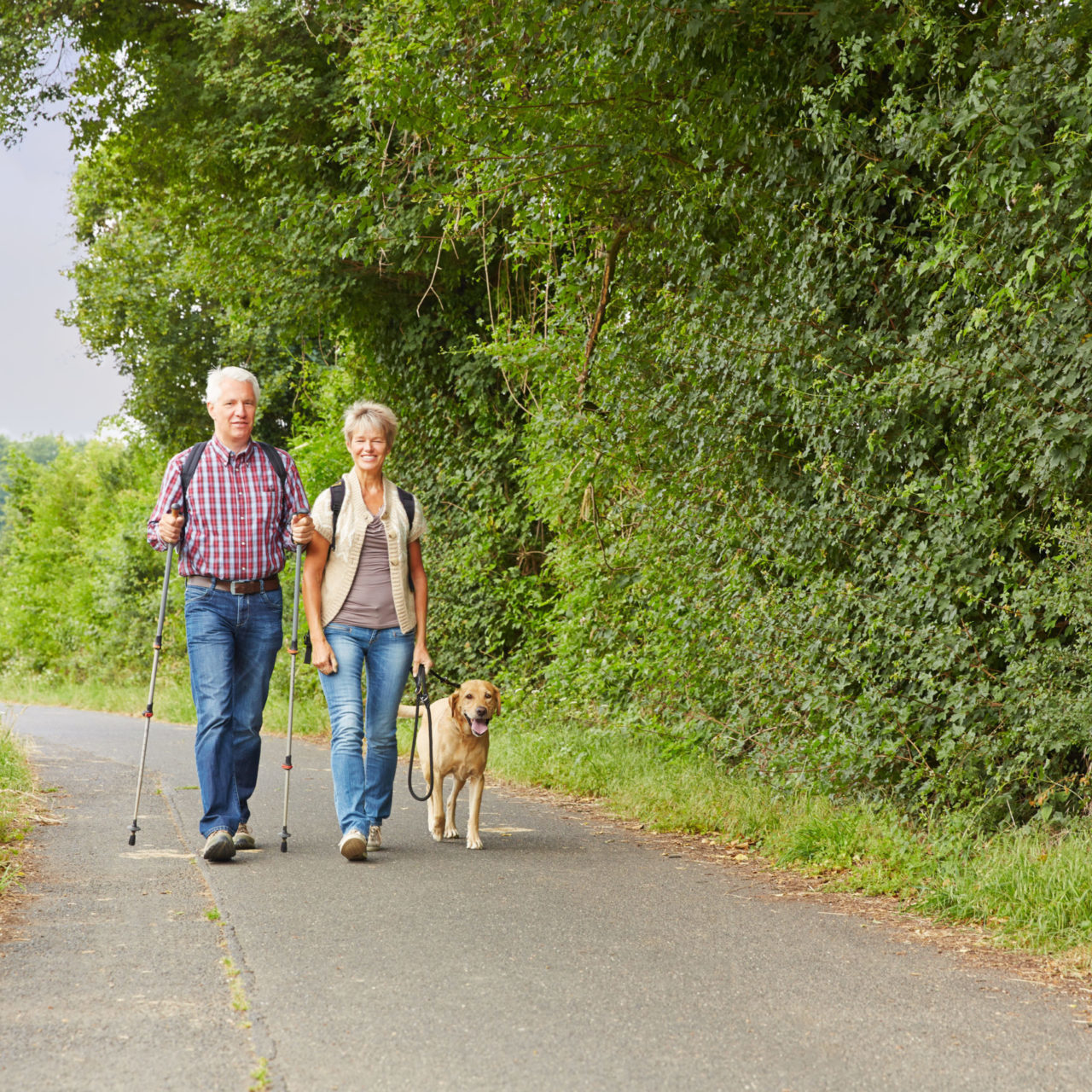 Staying active can help manage high blood pressure