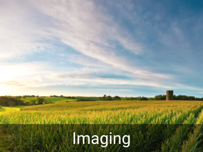 Othopaedic Services Imaging Mahaska Health Oskaloosa IA