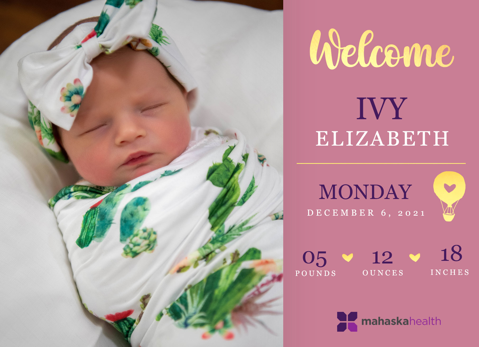 Welcome Ivy Elizabeth! 6