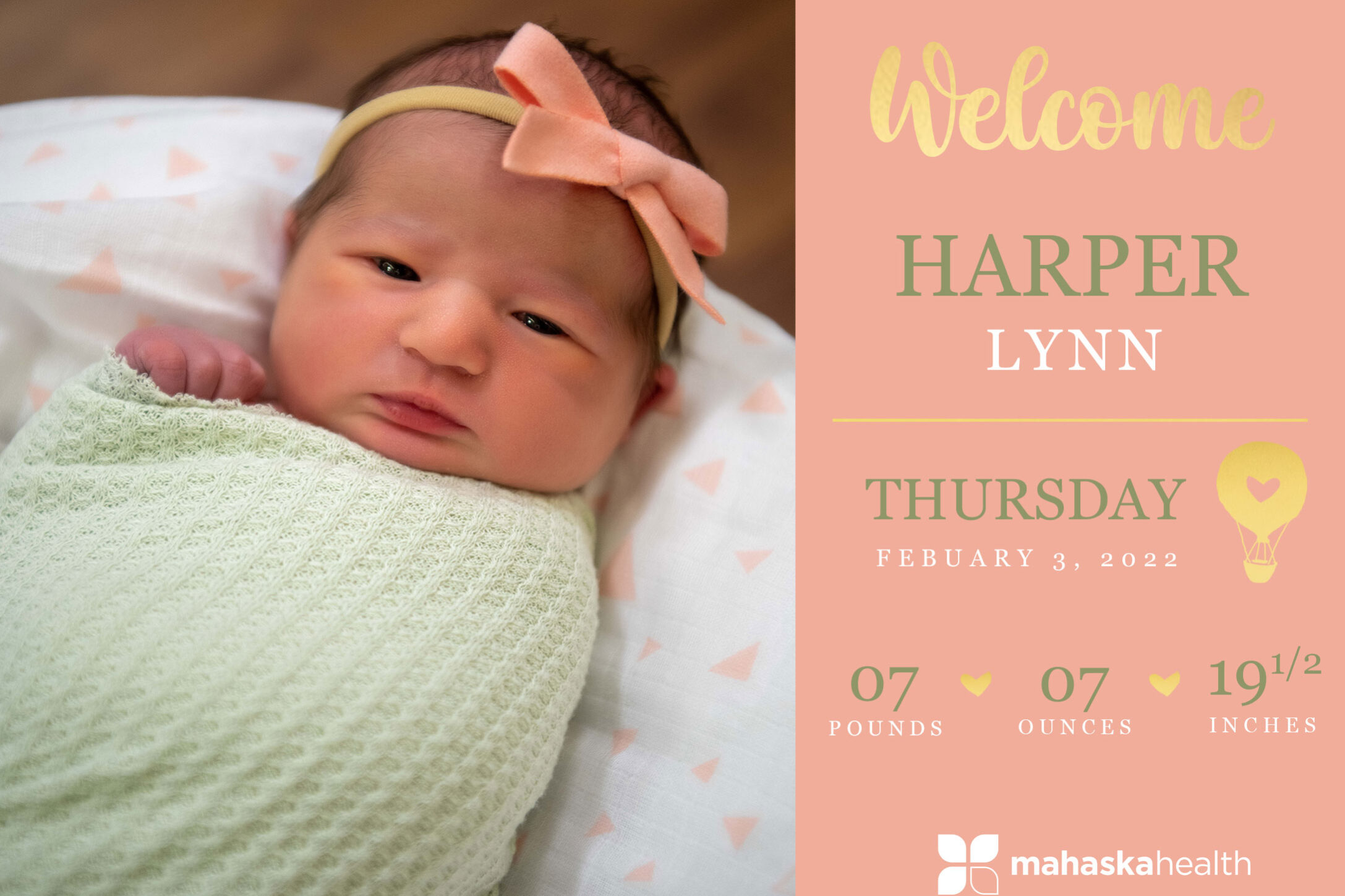 Harper Lynn