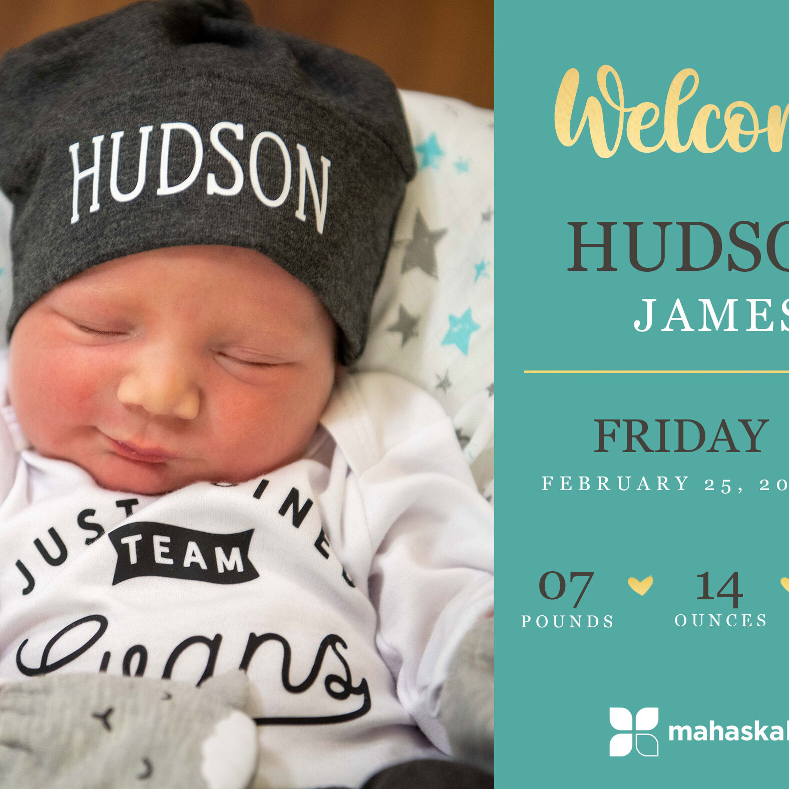 Hudson James