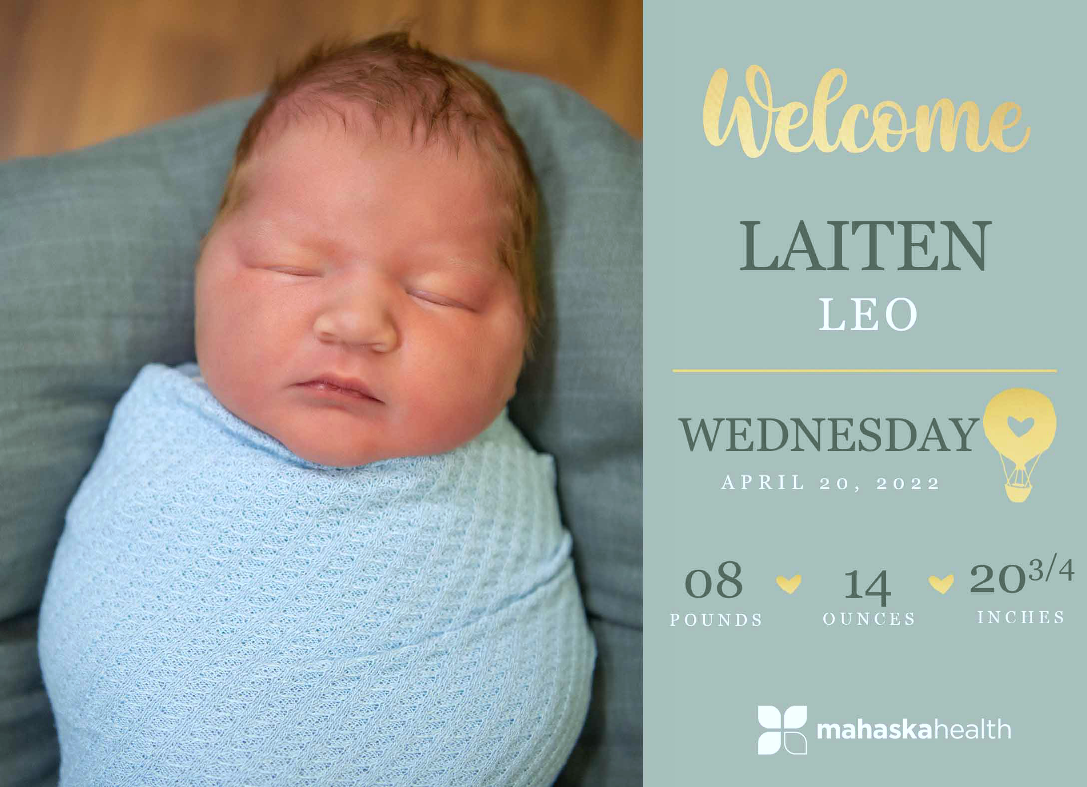 Welcome Laiten Leo! 6