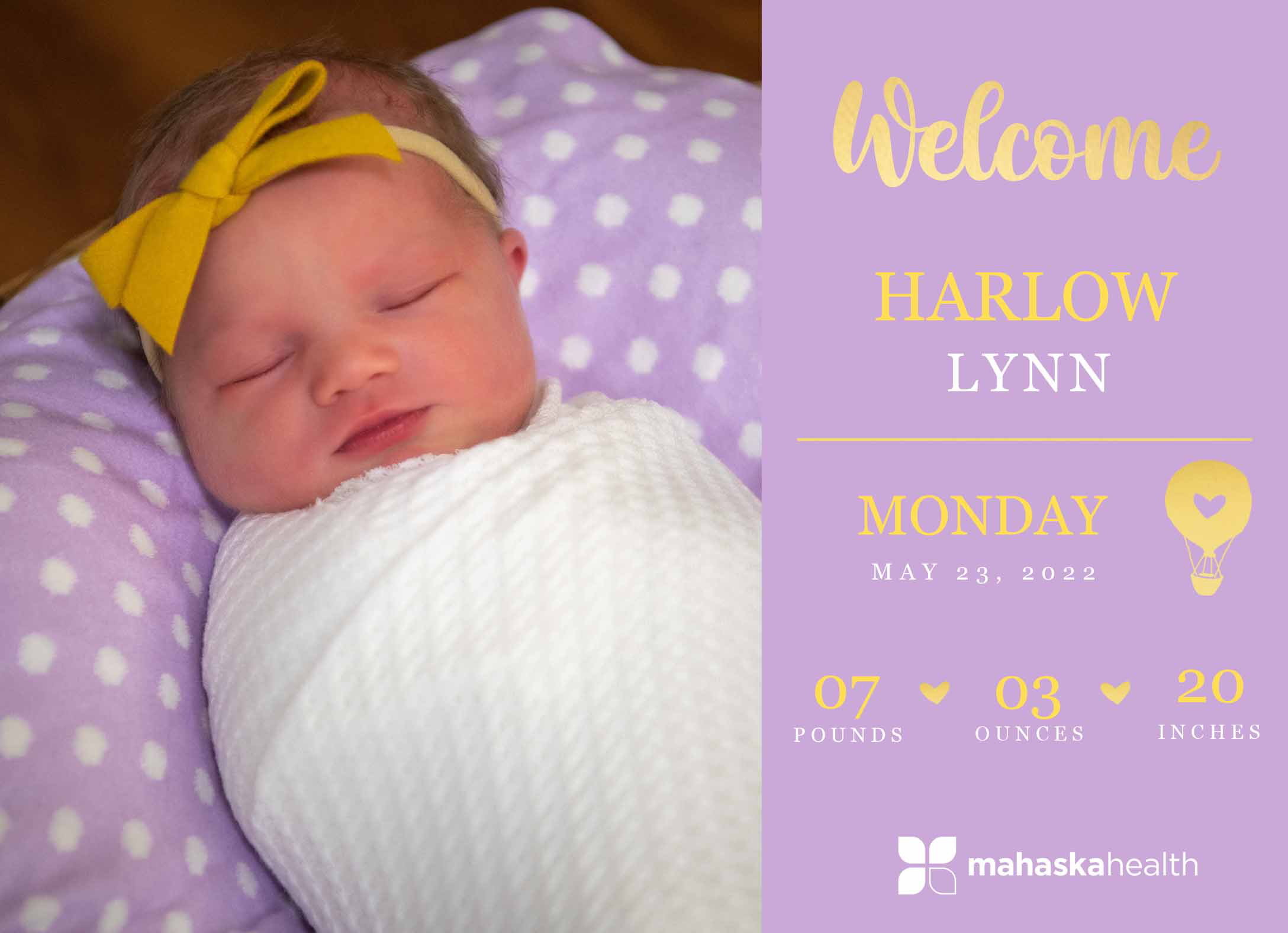 Welcome Harlow Lynn! 6