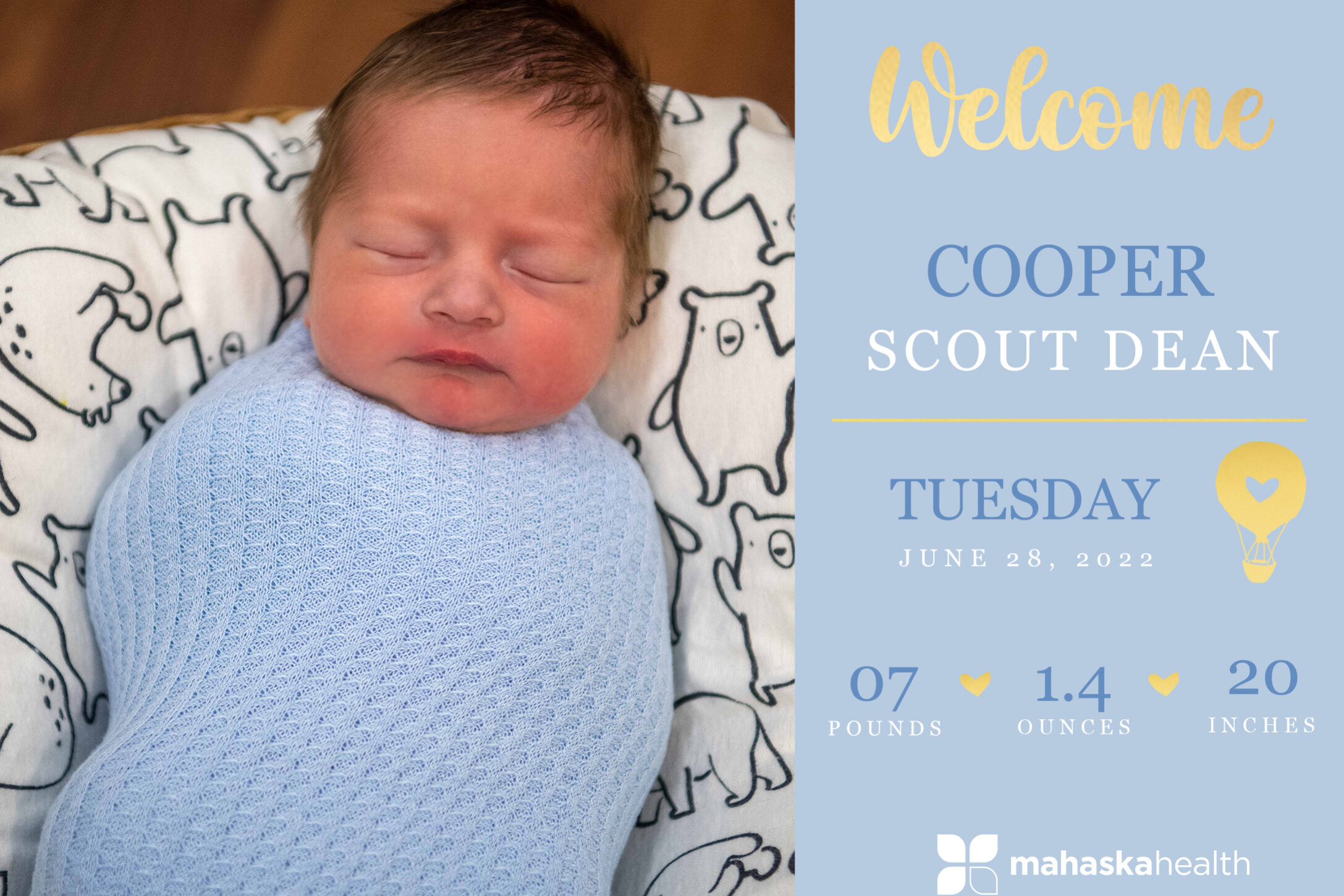Cooper Scout Dean
