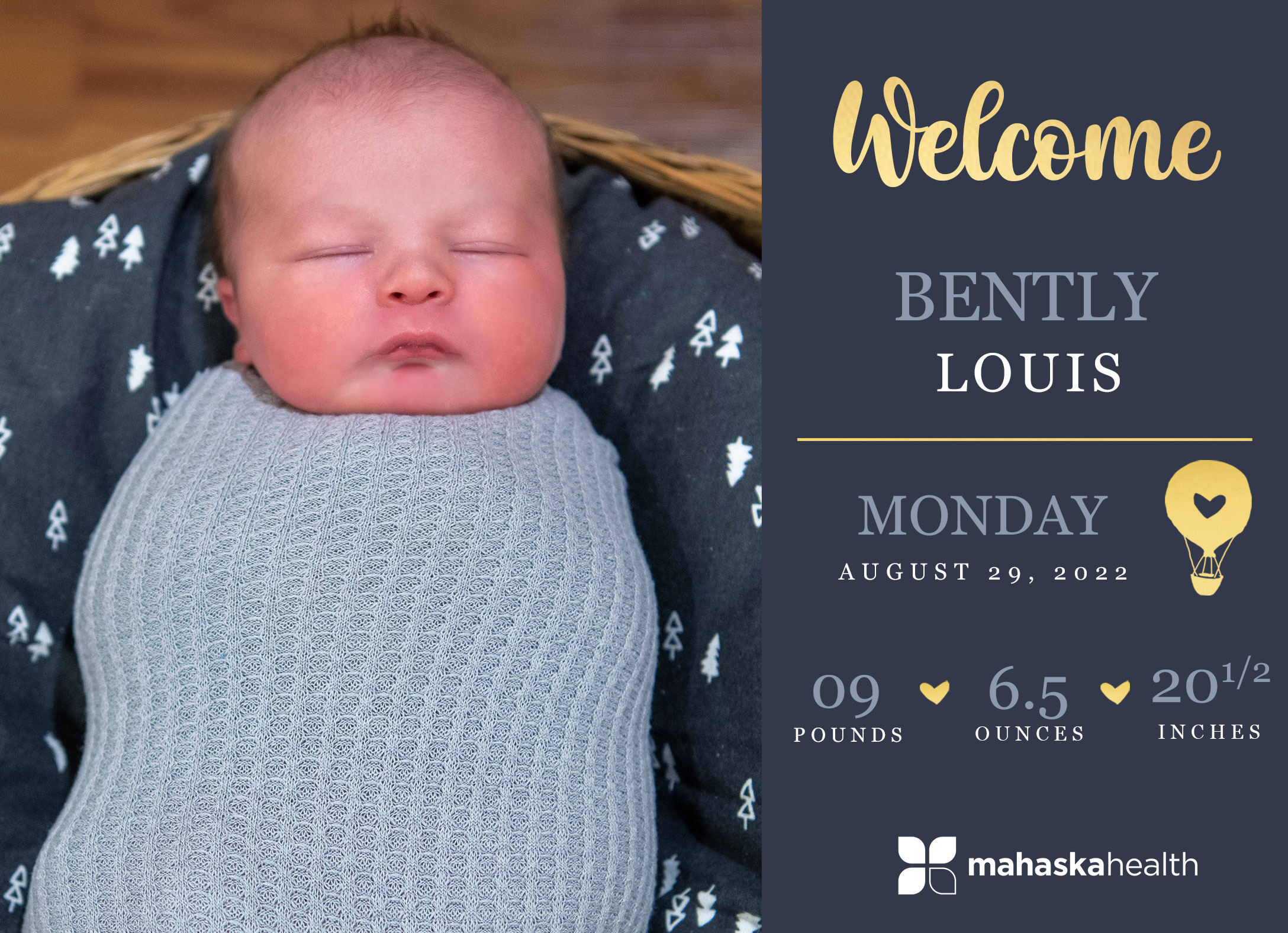 Welcome Bently Louis! 6