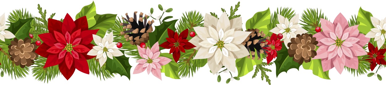 Holiday Poinsettia Sale! 1