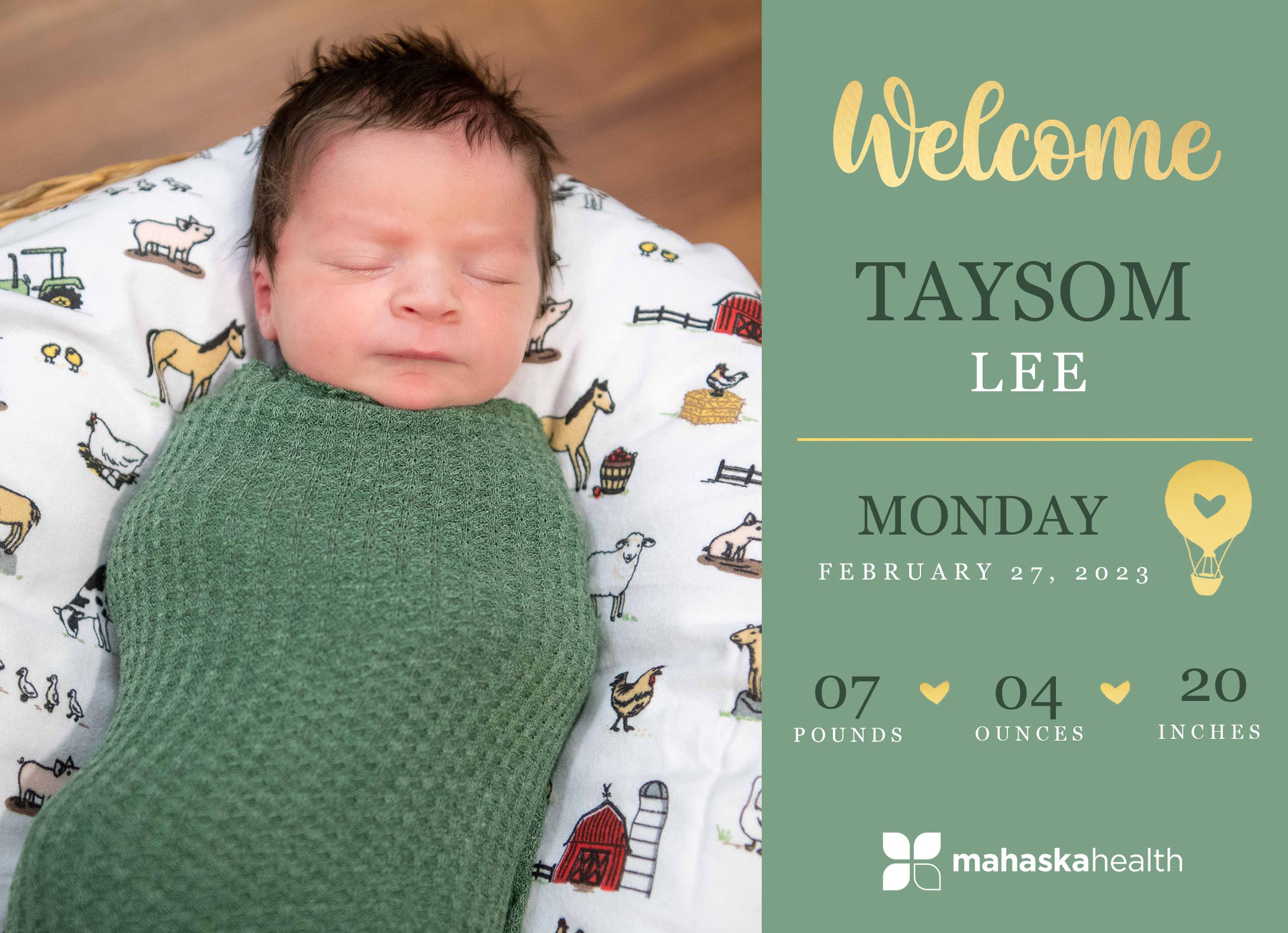 Welcome Taysom Lee! 2