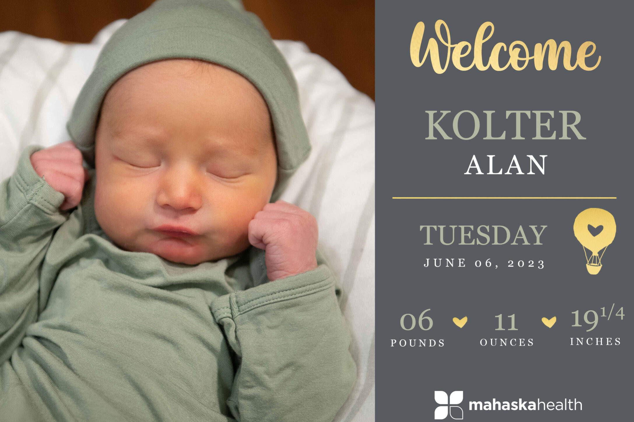 Kolter Alan