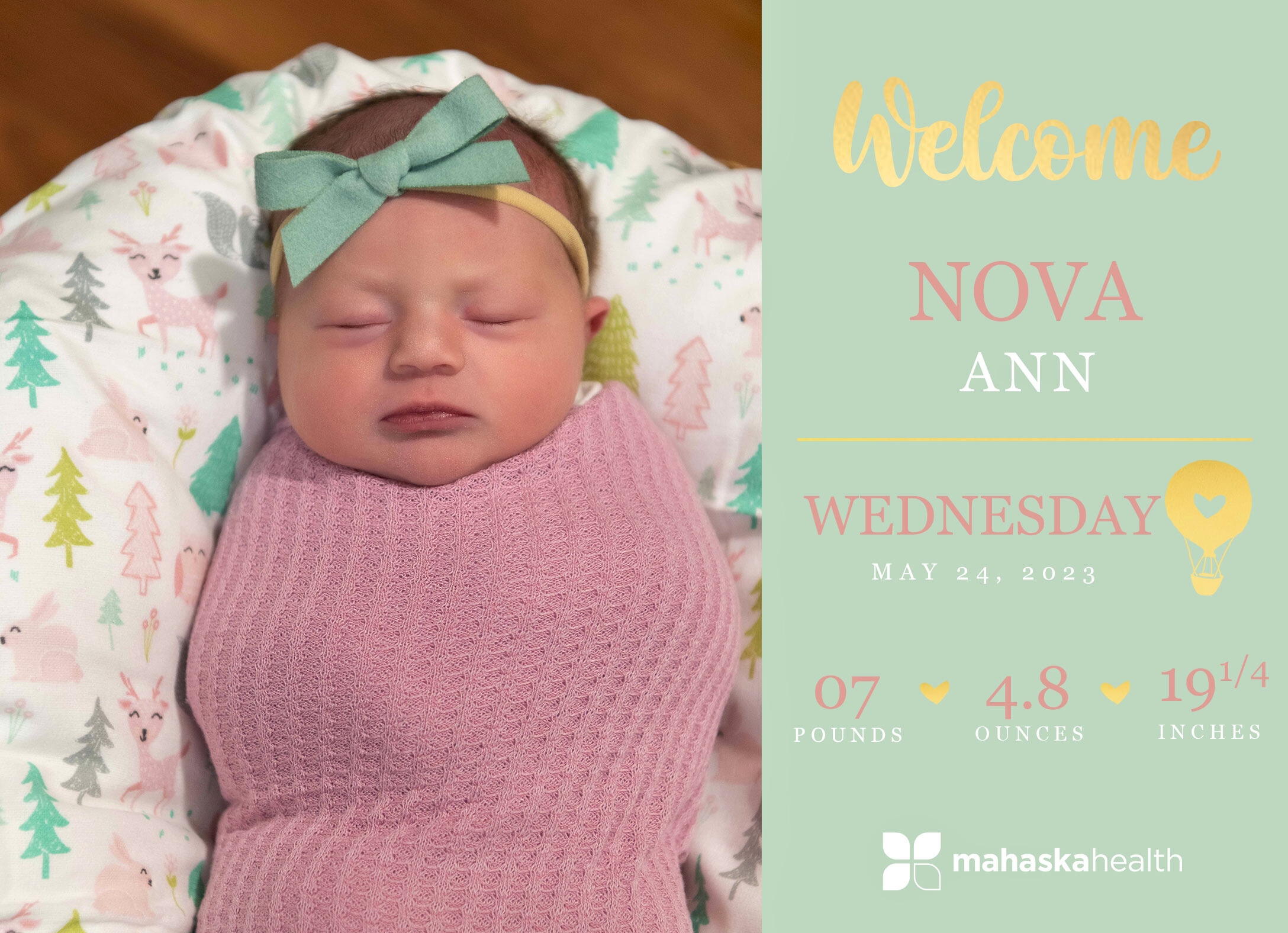 Welcome Nova Ann! 2