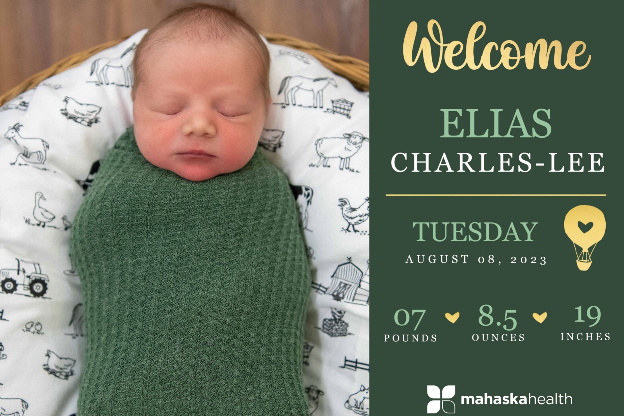 Elias Charles Lee