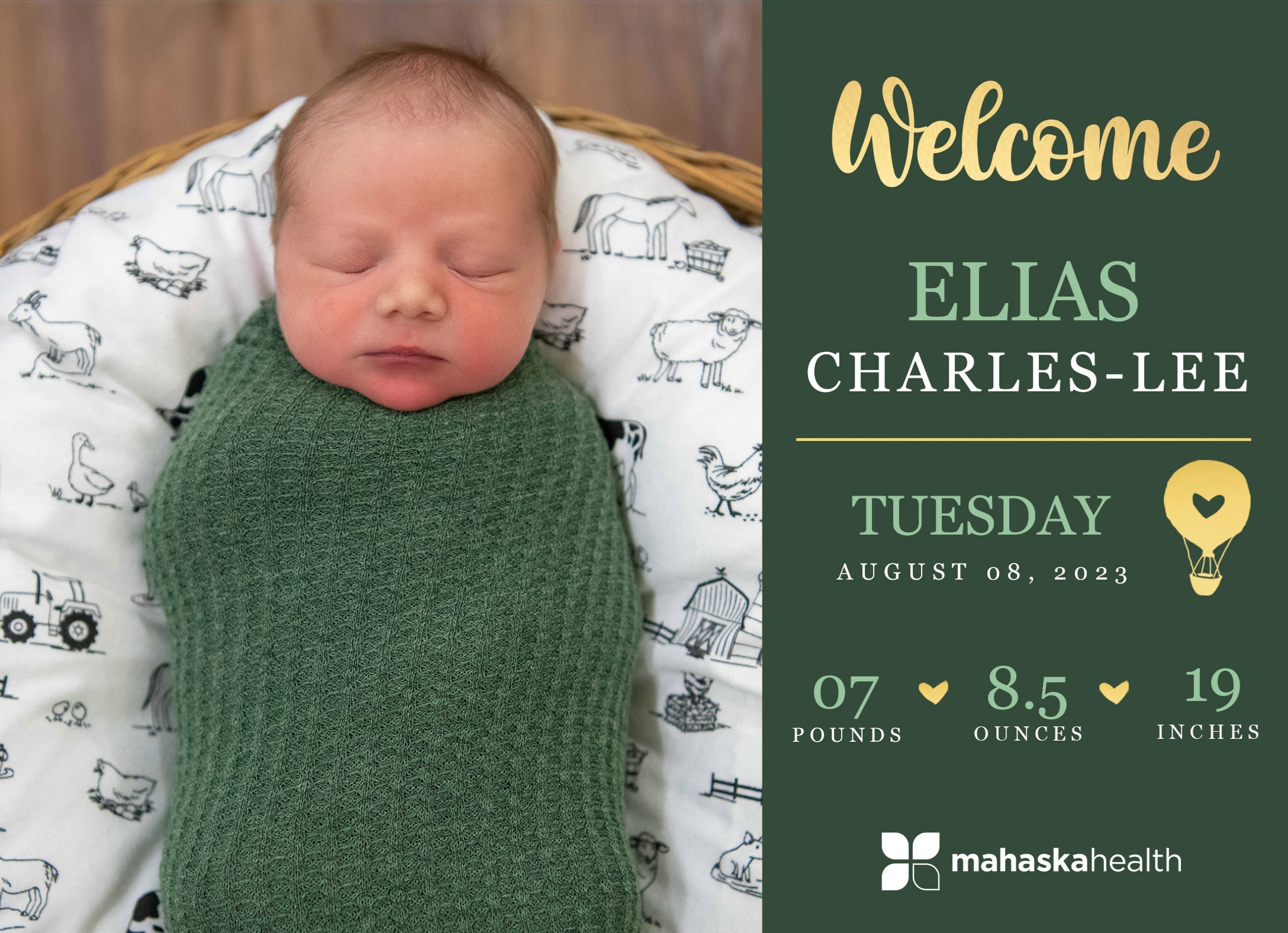 Welcome Elias Charles Lee! 2