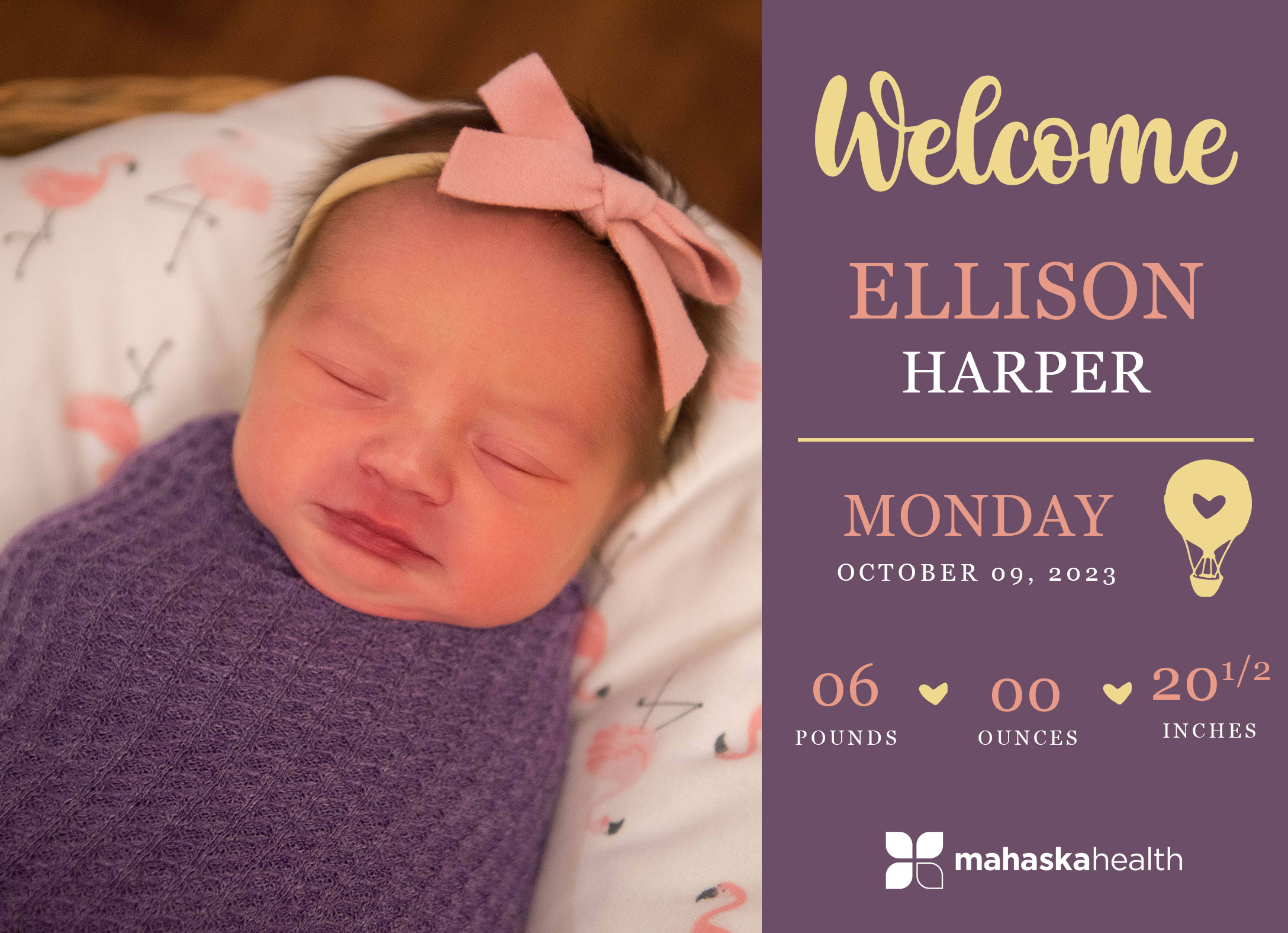 Welcome Ellison Harper! 2