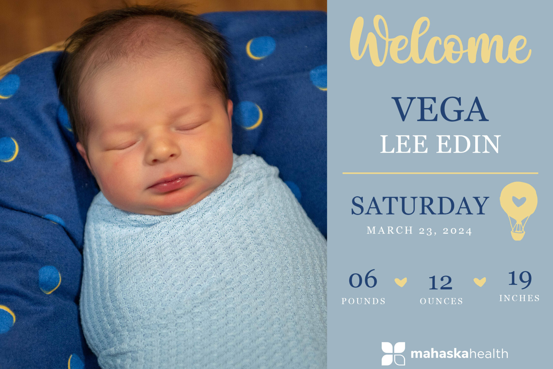 Vega Lee Edin