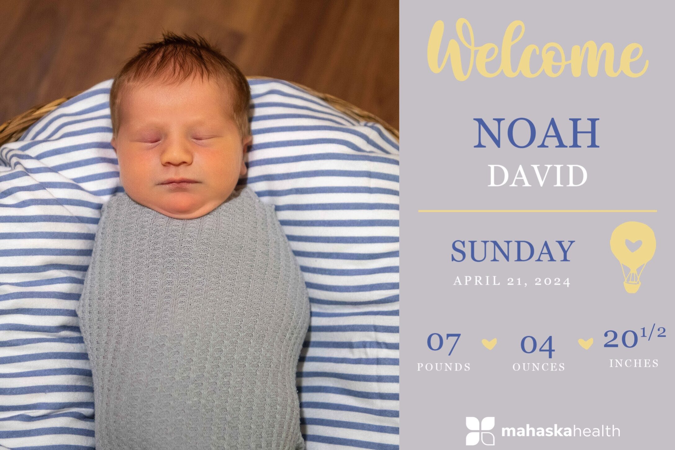 Noah David