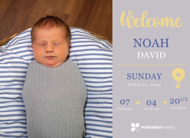 Noah David
