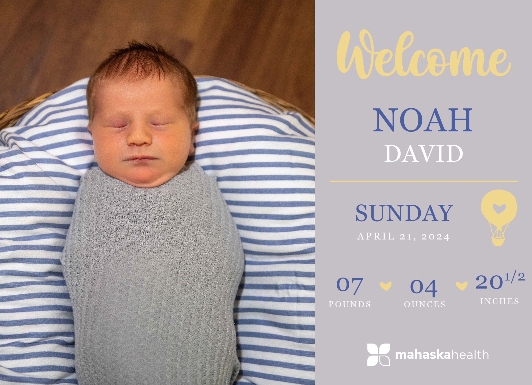 Noah David