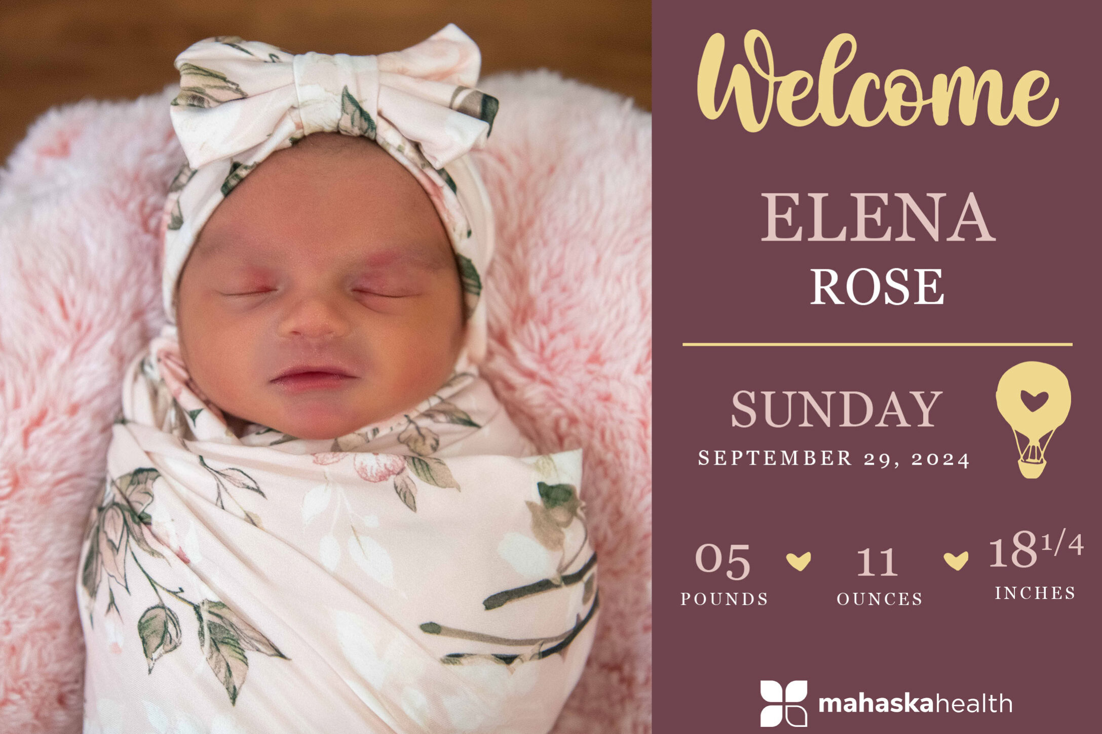 Elena Rose