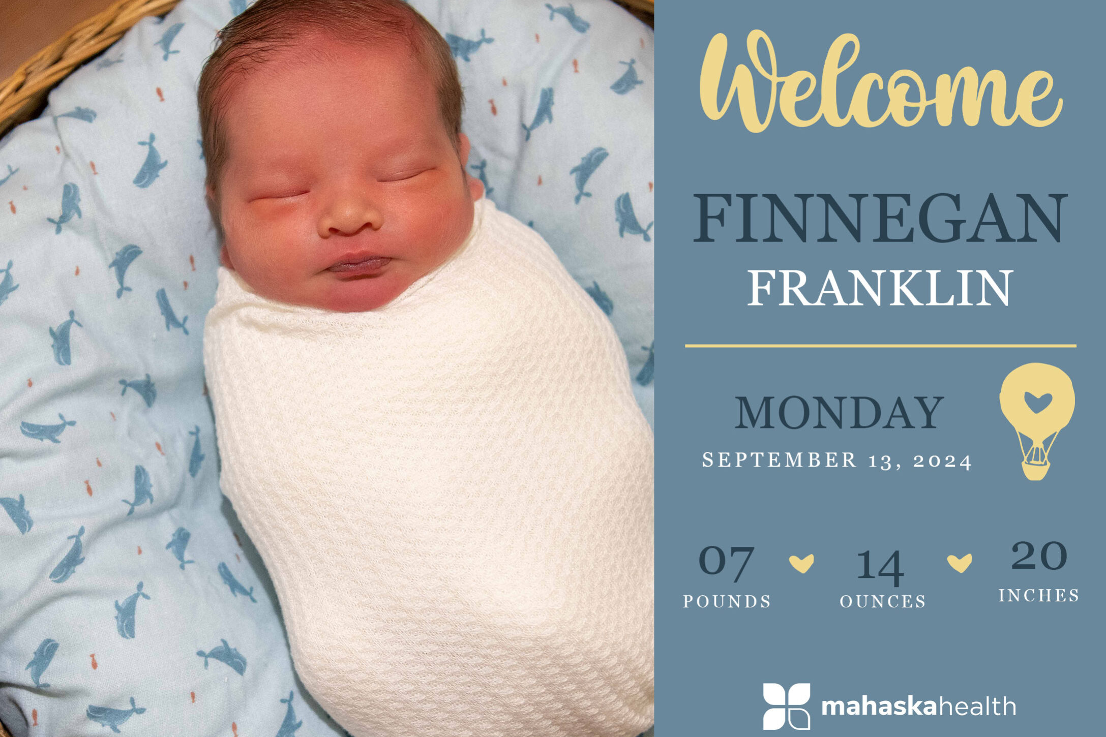 Finnegan Franklin