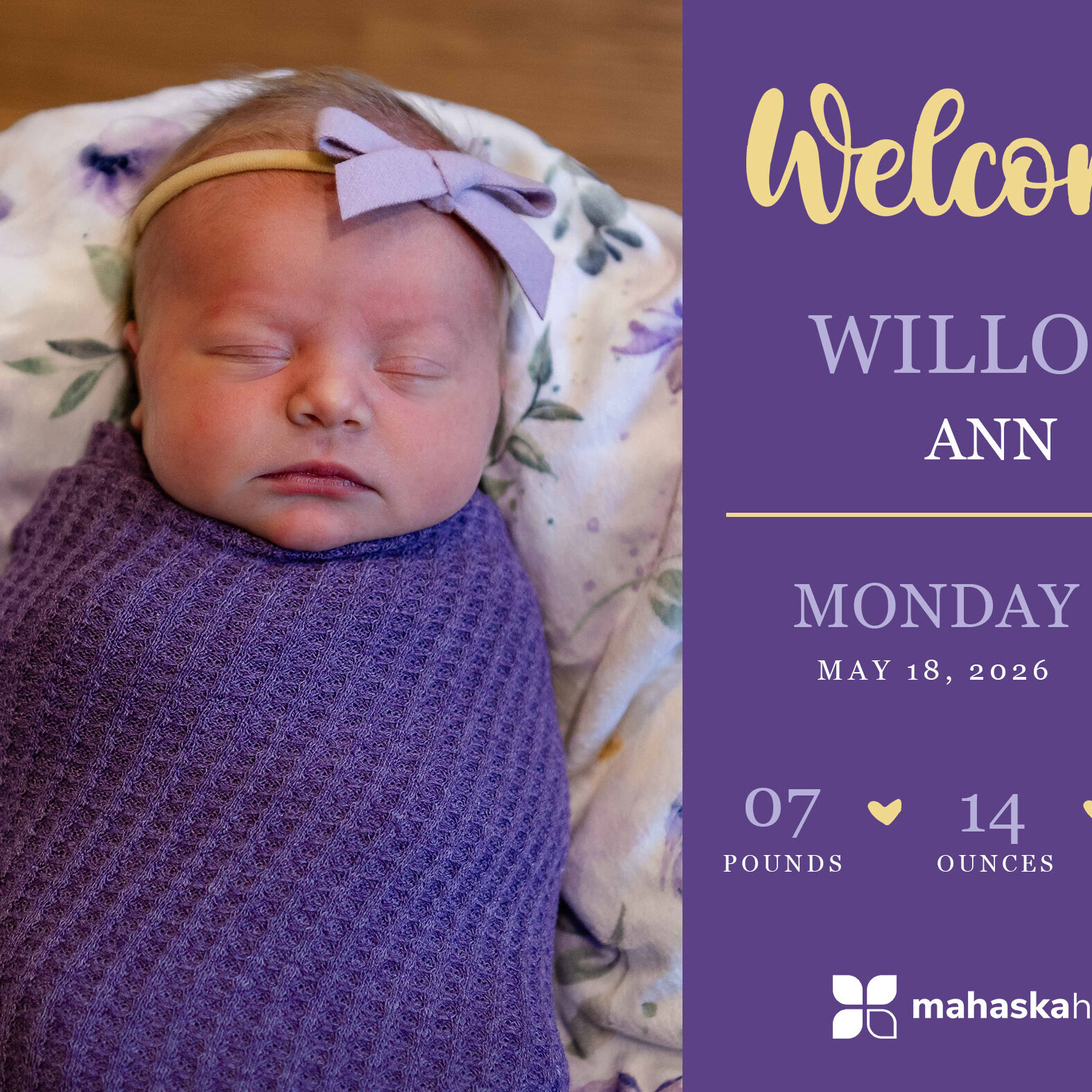 Willow Ann