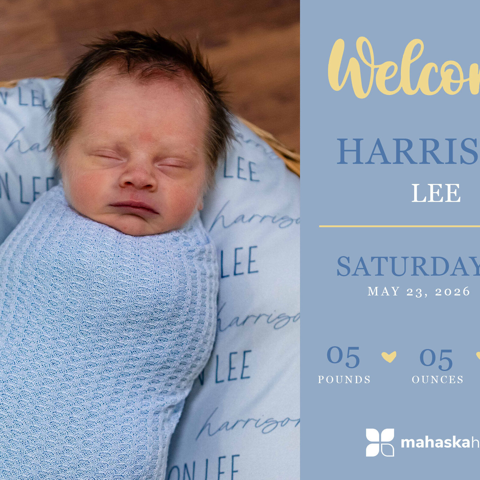 Harrison Lee